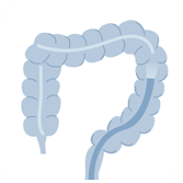 壹醫健  Dr.One 腸鏡、 大腸鏡檢查