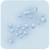 壹醫健  Dr.One 濕疣